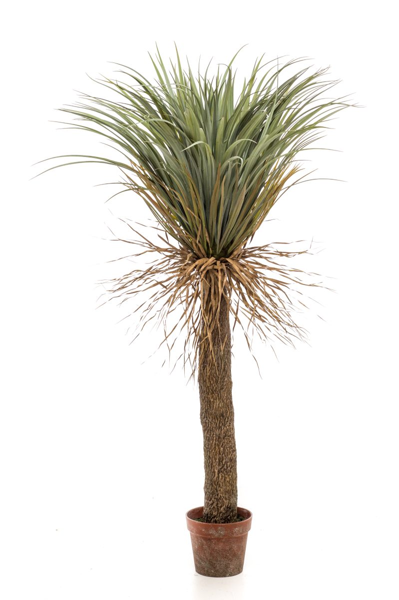 yucca Wild 150cm kunstplant