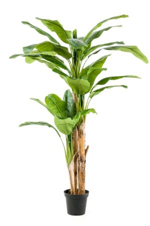 Bananenboom 3 stammen 210cm kunstplant